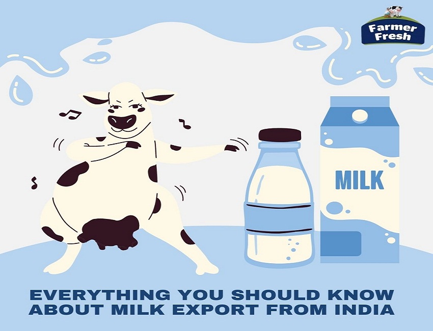 Milk products export